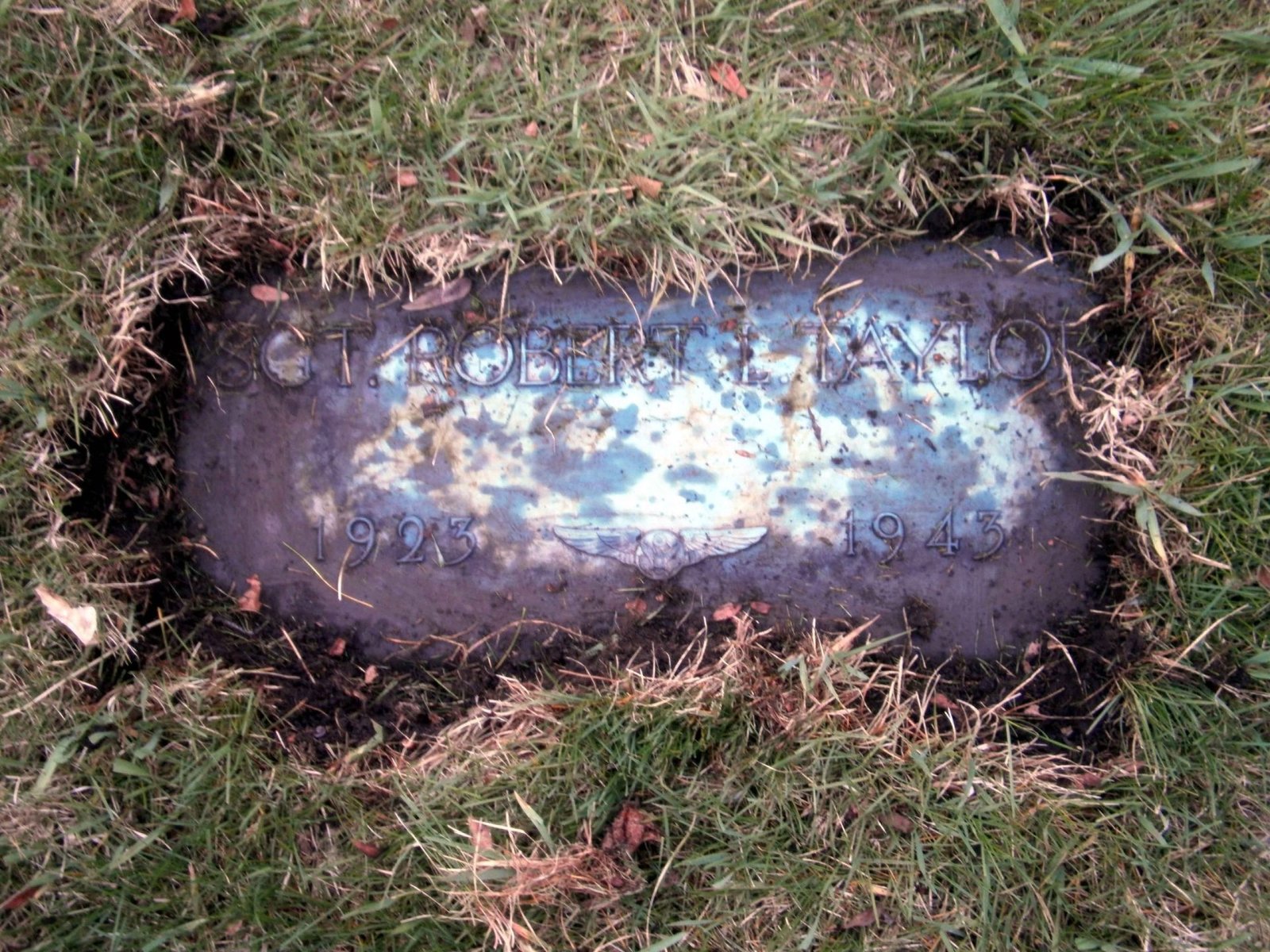 Taylor R Grave